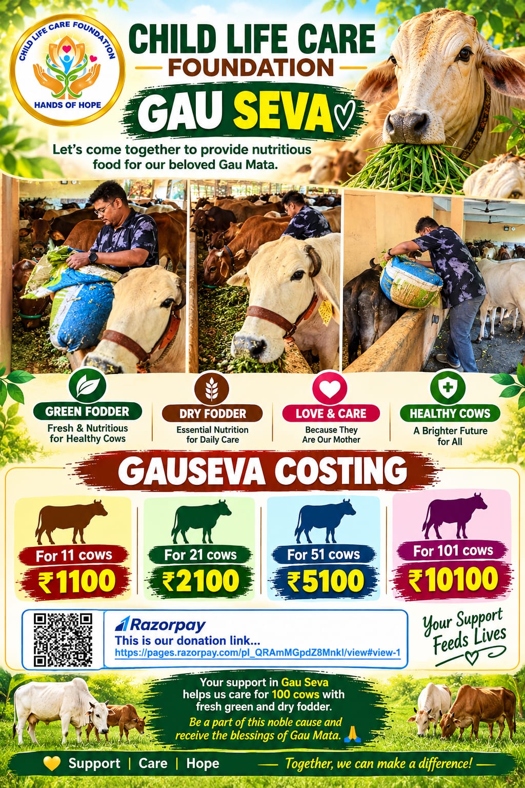 Gau Seva — Feeding Cows at Child Life Care Foundation